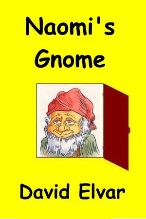 Cover of the book Naomi's Gnome by David Elvar