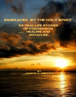 Cover of the book Embraced by the Holy Spirit by Alessio Pinna