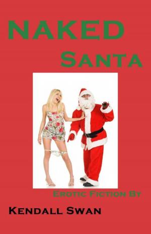 Book cover of NAKED Santa