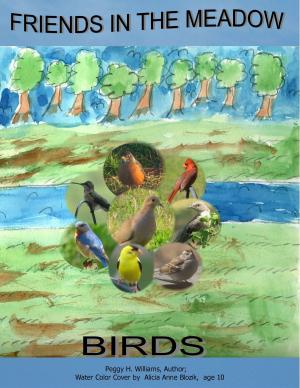 bigCover of the book Friends in the Meadow-Birds by 