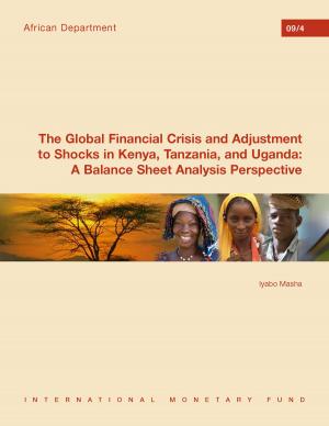 Book cover of The Global Financial Crisis and Adjustment to Shocks in Kenya, Tanzania, and Uganda: A Balance Sheet Analysis Perspective