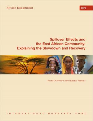 Cover of the book Spillover Effects and the East African Community: Explaining the Slowdown and the Recovery by Catherine  Ms. Pattillo, Hugh Mr. Bredenkamp