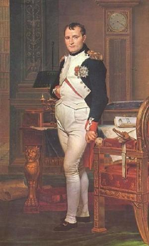 Cover of The History of Napoleon Buonaparte