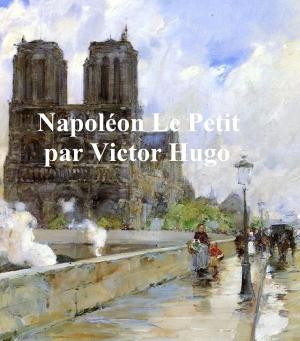 Book cover of Napoleon le Petit (in the original French)