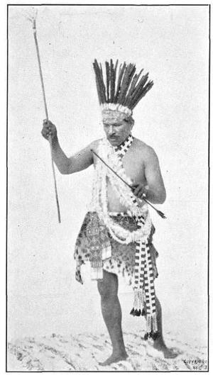 Cover of the book Indians of the Yosemite Valley and Vicinity (1904), their history, customs, and traditions by Grant Allen