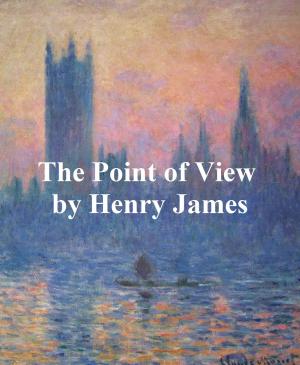Cover of the book The Point of View by Bill Ricardi