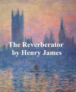 Book cover of The Reverberator