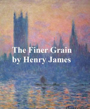 Book cover of The Finer Grain