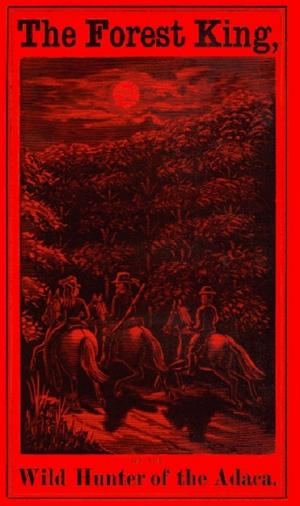bigCover of the book The Forest King or the Wild Hunter of the Adaca: A Tale of the Seventeenth Century by 