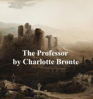 Book cover of The Professor