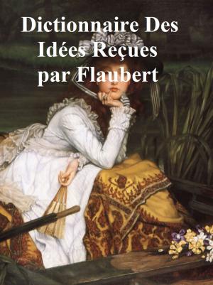 Cover of the book Dictionnaire des Idees Reçues (in the original French) by Mark Twain