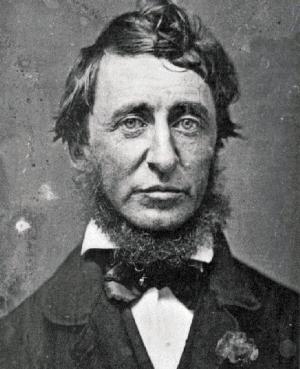 Book cover of Thoreau: 5 books and 4 essays
