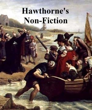 Book cover of Nathaniel Hawthorne: Nine Non-Fiction Books