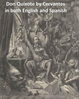 Cover of the book Don Quixote in both English and Spanish by Bob Rogers
