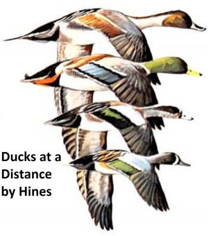 Cover of the book Ducks at a Distance: a Waterfowl Identification Guide, Illustrated by R. E. N. Twopeny