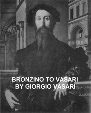 Book cover of Bronzino to Vasari and General Index