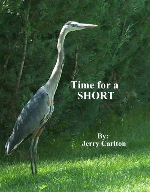Book cover of Time for a Short?