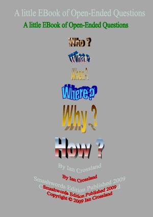 Book cover of A Little EBook of Open Ended Questions