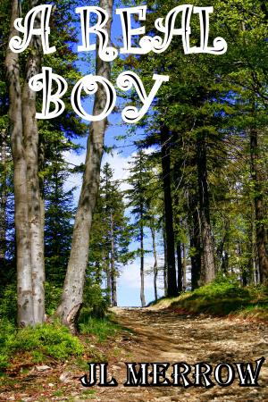 Book cover of A Real Boy