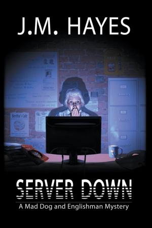 Book cover of Server Down: A Mad Dog & Englishman Mystery