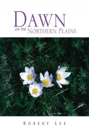 Cover of the book Dawn on the Northern Plains by Joseph Montgomery