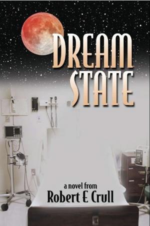 Cover of the book Dream State by C.H. Carter