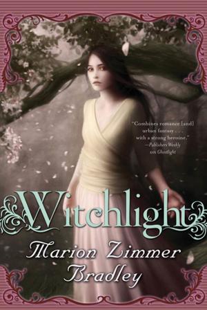 Book cover of Witchlight
