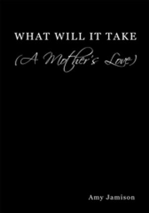 Cover of the book What Will It Take (A Mother's Love) by John Oharenko