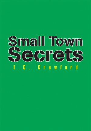 Cover of the book Small Town Secrets by W. A. Harper