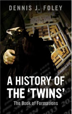 Cover of the book A History of the 'Twins' by RA Ostel