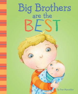 Cover of the book Big Brothers Are the Best by Allison Louise Lassieur