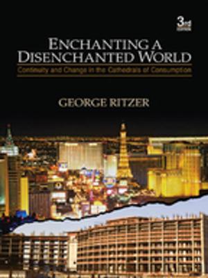 Book cover of Enchanting a Disenchanted World