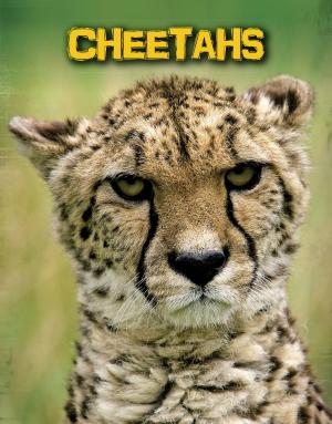Cover of the book Cheetahs by Sarah Hines Stephens