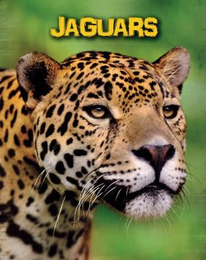 Cover of the book Jaguars by Jan Burchett