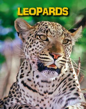 Cover of the book Leopards by Eric Mark Braun