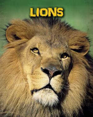 Cover of the book Lions by Eliza Charles McCaulay