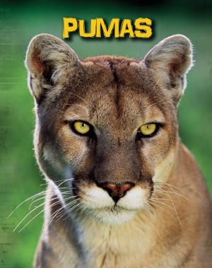 Cover of the book Pumas by J.E. Bright