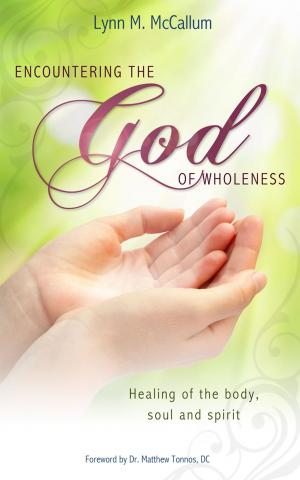 Cover of the book Encountering the God of Wholeness by Cpl. Nathan Justice