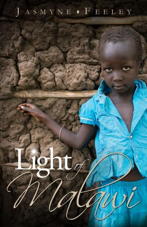 Cover of the book Light of Malawi by Yvonne T. Campbell