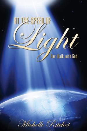 Cover of the book At the Speed of Light by John Byl, Tom Goss