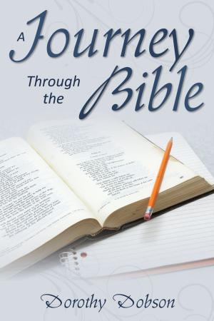 Book cover of A Journey Through the Bible