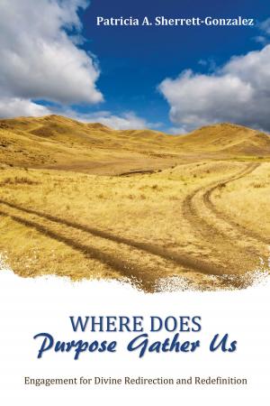 Book cover of Where Does Purpose Gather Us