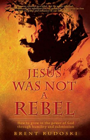 Cover of the book Jesus Was Not a Rebel by Dr. Slobodan Krstevski, Ph.D.