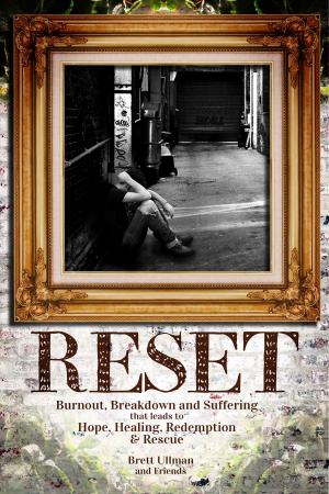 Cover of the book Reset by Dorothy Dobson