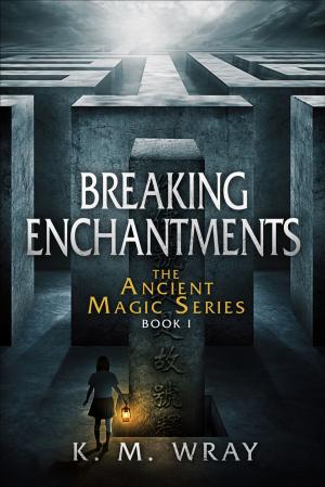 Cover of the book Breaking Enchantments by Sarah Froese