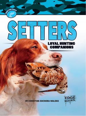 Cover of the book Setters by Jennifer Lynn Jones