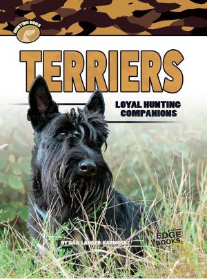 Cover of the book Terriers by Lisa Benjamin