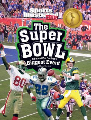 Cover of the book The Super Bowl by Eric Stevens