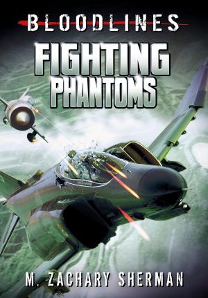 Cover of the book Fighting Phantoms by Jake Maddox