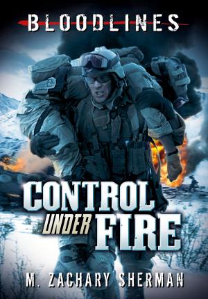 Cover of the book Control Under Fire by Elisa Puricelli Guerra